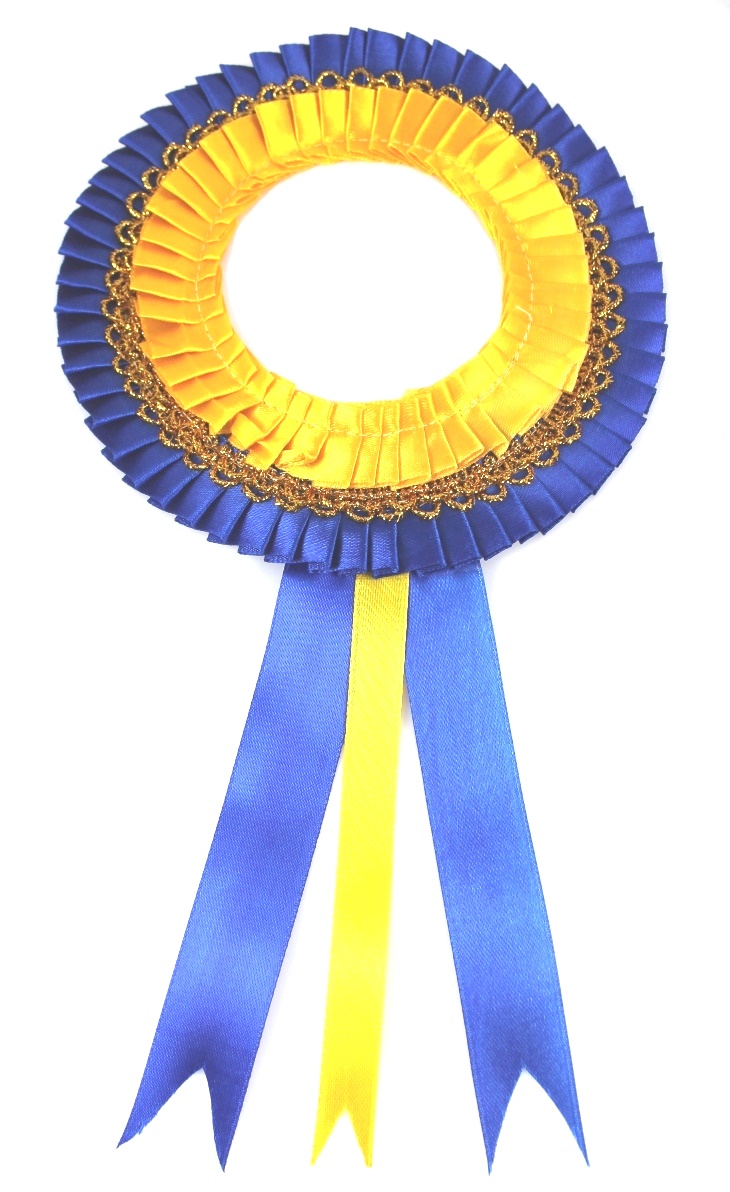 https://www.excellis.co.in/dance_jewlry//public/storage/photos/1/Products/Badge_BluYel__59121.jpg