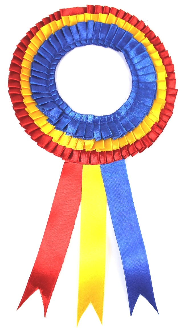 https://www.excellis.co.in/dance_jewlry//public/storage/photos/1/Products/Badge_RedYelBlu__30764.jpg