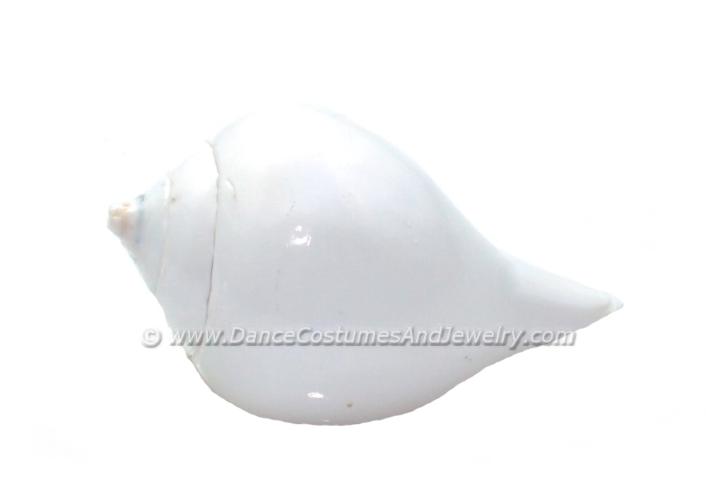 https://www.excellis.co.in/dance_jewlry//public/storage/photos/1/Products/ShellCR__88715.jpg
